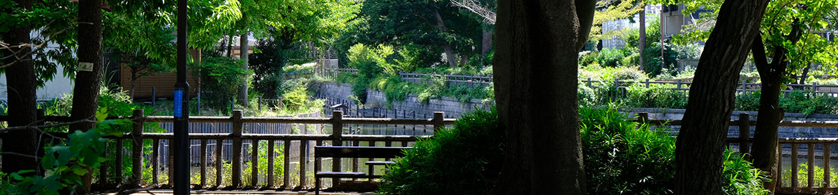 碑文谷６丁目自治会